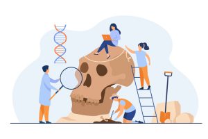 Tiny anthropologists studying Neanderthal skull